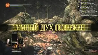 Забрал с собой [DARK SOULS III]