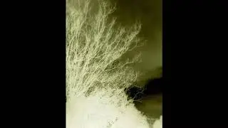 DJ4AM & Sach (The Nonce) - I Thought (OG Mixxx) 