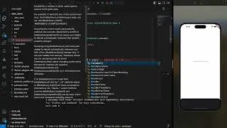Flutter lesson 39. Websocket