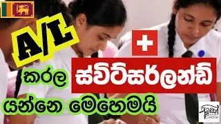 After O/L & A/L | How to find a Job in Switzerland - ලංකාවෙන් ස්විට්සර්ලන්ඩ් යන්න කුමක් කරමුද?