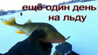 РЫБАЛКА.ЕЩЁ ОДИН ДЕНЬ НА ЛЬДУ.