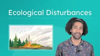 Ecological Disturbances - Life Science for Kids!