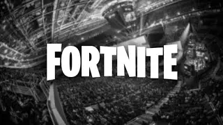 Fortnite 2020 event with random solo player