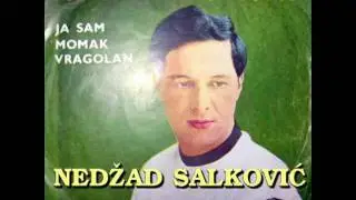 Nedzad Salkovic - Pjesmo moja