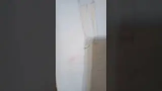 Сделала арт Minikotic