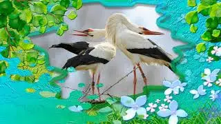 💕🕊💕 Ach Koks Pavasaris....💕🕊💕