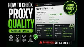 How to Check Proxy Quality (IP, DNS & ASN Explained)