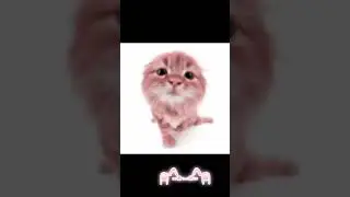 бобрик