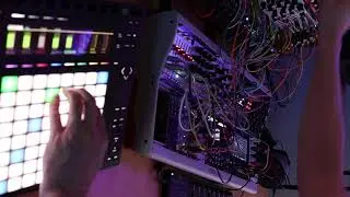Joranalogue Step8 & Morph4 generative bass and melody