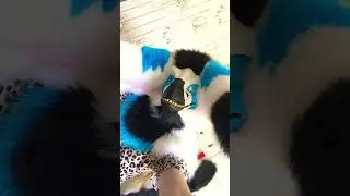 Ахпхпхахх #врек #furry #фурри #furries