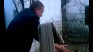собачий язык.avi
