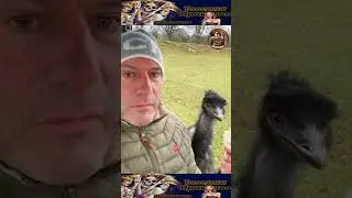 Подборка приколов 😂