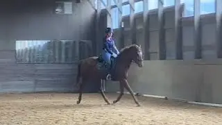 Mondeuse Dressage Intro Test B 02102024