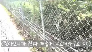 논산 아님 (한강 아님)