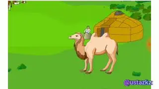 Түйе. Түйенің түрлері. Үй жануары. Төрт түлік мал.