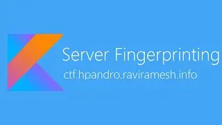 Server Fingerprinting - hpAndro Vulnerable Application Challenge
