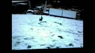 Как то так проводят время Илья и Диана😅😃😱😂😁 )