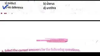 class 10 biology full book mcqs AJK mirpur board|biology class 10 ka objective question| biology 10