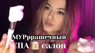 Мурашки до мозга костей | Вечерний АСМР | SafariAsmr