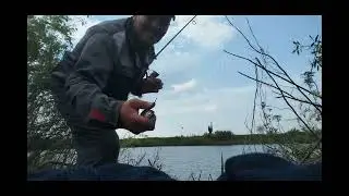 РЫБА ЕСТЬ И КЛЮЁТ