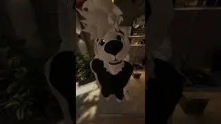 Me Reading The Mr. Beast Allegations