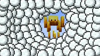 1,000 snowballs vs blaze