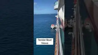 Tender Boat Rides are the BEST!