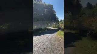 A beautiful morning at Olompali State Park