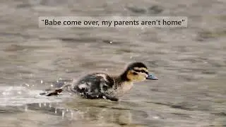 When parents aren't home