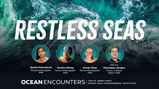 Ocean Encounters: Restless Seas
