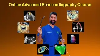 CIC Online Advanced Echocardiography Course