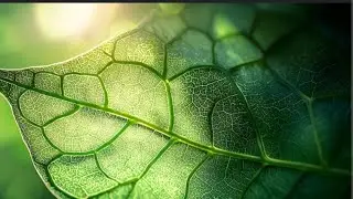 Glycolysis| Fermentation| TCA Cycle| Neet| Csir Net| Assistant Professor| UPPSC| RPSC| MPPSC| Exams