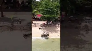 Utang nalang ang Nagtatagal 🤣