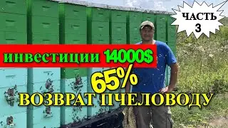 ИНВЕСТИЦИИ И ВОЗВРАТ ДЕНЕГ ПЧЕЛОВОДУ/На пасеке Андрея Бодяна 2019