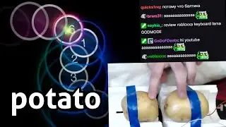 potato