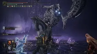Putrescent Knight and NPC Thollier - Elden Ring Shadow of the Erdtree DLC