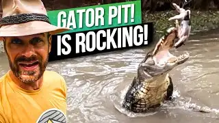 We made a Feeding Line for our GATOR PIT!