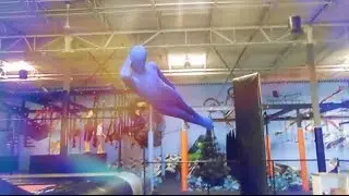 MORPHSUIT VS TRAMPOLINE PARK!