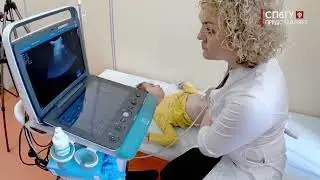 Новости СПбГУ: Дети с ДЦП могут получить консультацию в Клинике ВМТ СПбГУ