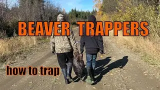 How To Trap Beaver and Otter #trapper #trapping #beaver