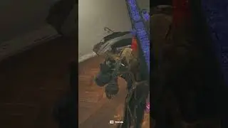 Какой-то зверь #warzone2  #warzoneclips #codmw2 #shorts #sniper #mw3 #mw3gameplay  #shotgun