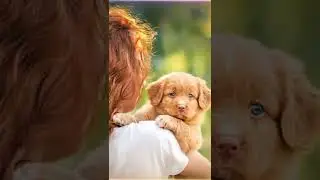 День доброты