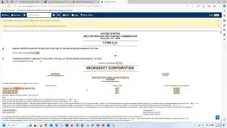 How to download US companies Annual Report from SEC in Excel Spreadsheet
