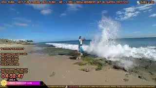 Chat goes for a swim | Splucy