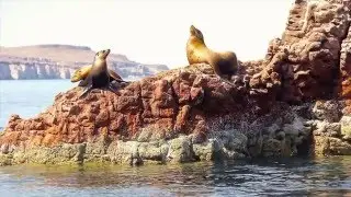 La Paz Mexico LA Travel Show 2016