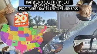 Camper Van Traveling from Tampa Bay to Santa Fe to Hot Springs Arkansas with my Polydactyl Cat