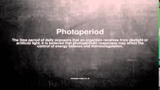 Medical vocabulary: What does Photoperiod mean
