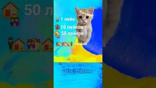 мне куда?