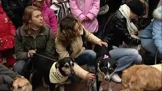 4.10.2009 - Международный день защиты животных. Благотворительная акция «Подари им дом!». (СТВ)