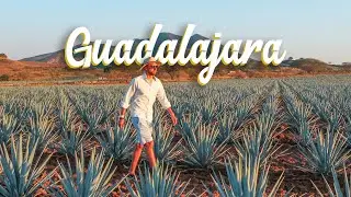 Guadalajara, The Tapatian Pearl 🎺🇲🇽[Trailer]
